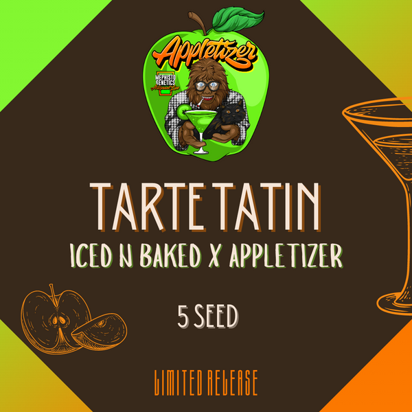 Tarte Tatinページ 1722535783234.webp