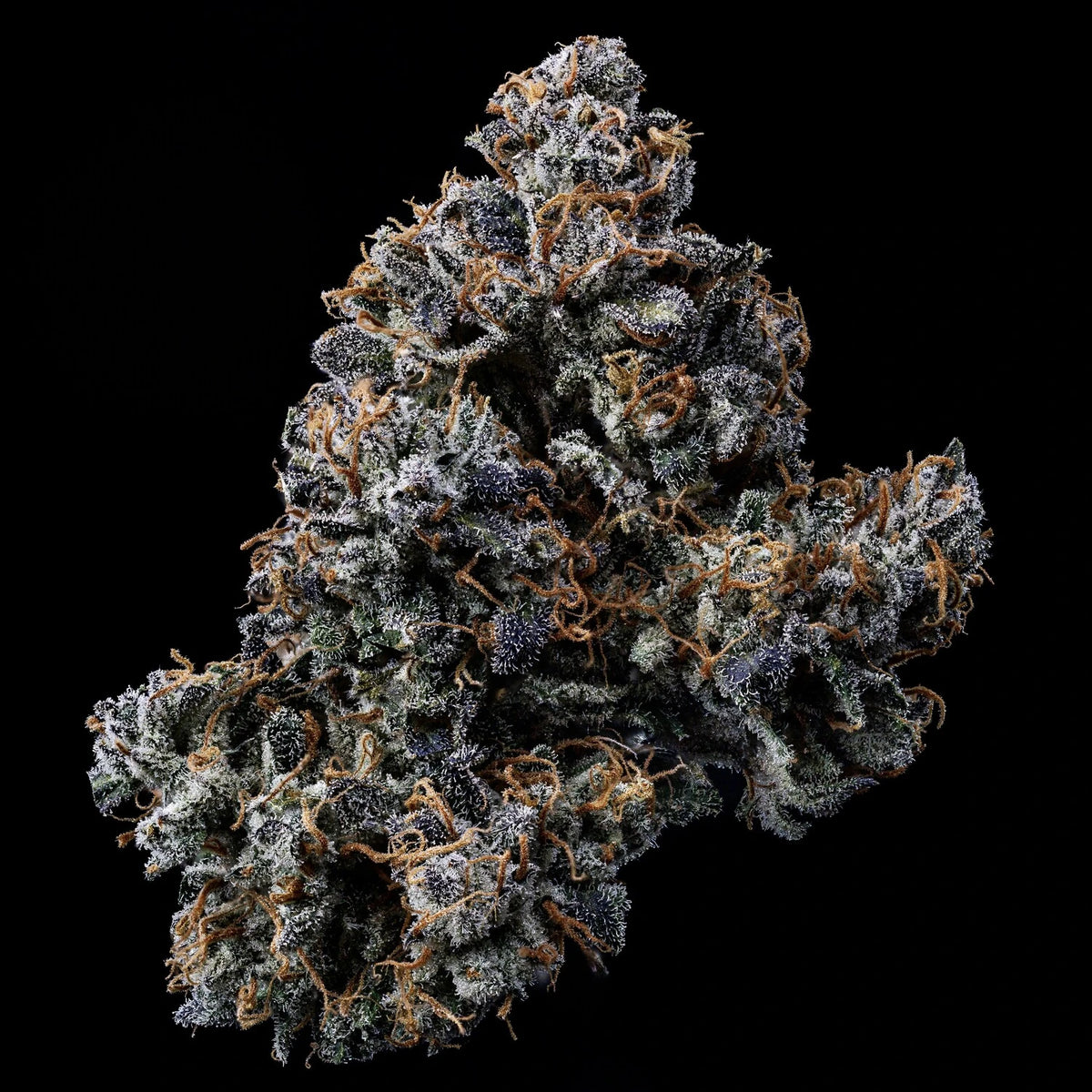 Butters' Breath harvested flower, as labeled by the cited photo source