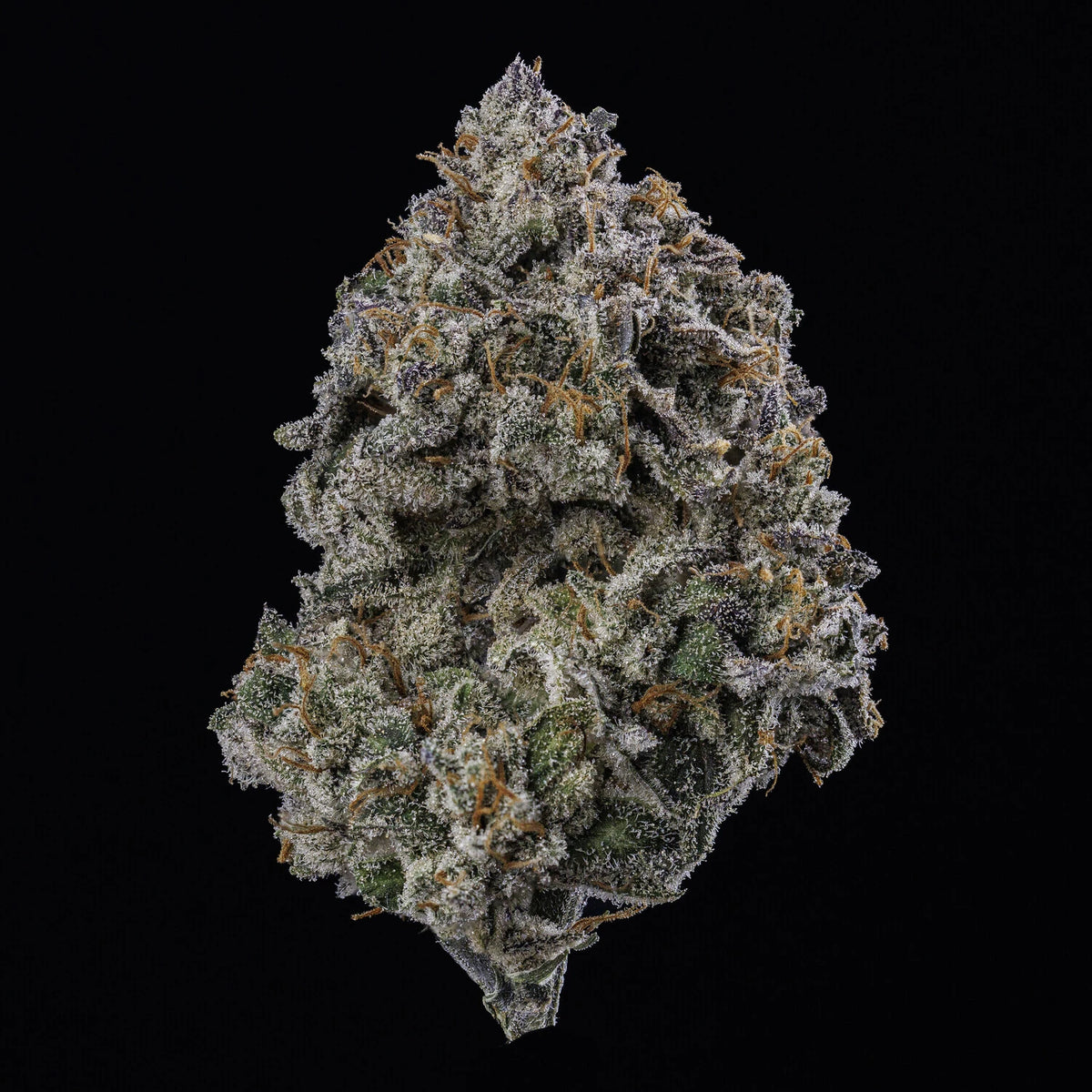 Mephmosa