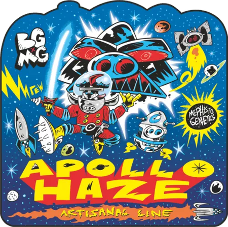 Apollo Haze