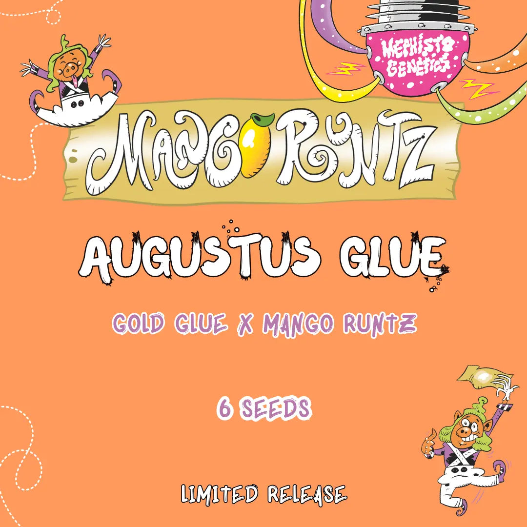 Augustus Glue
