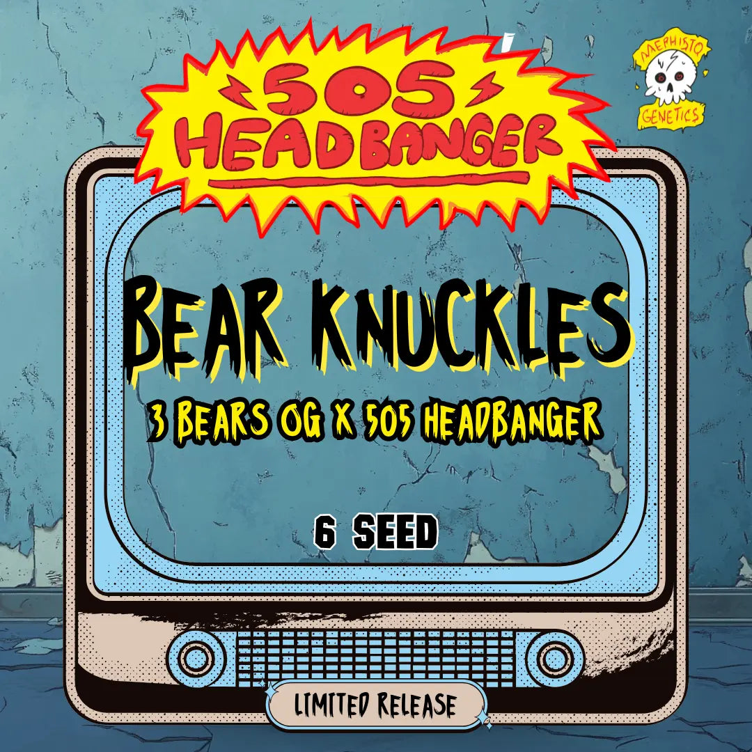 Bear Knuckles