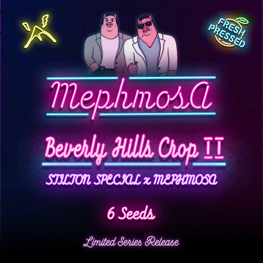 Beverly Hills Crop II