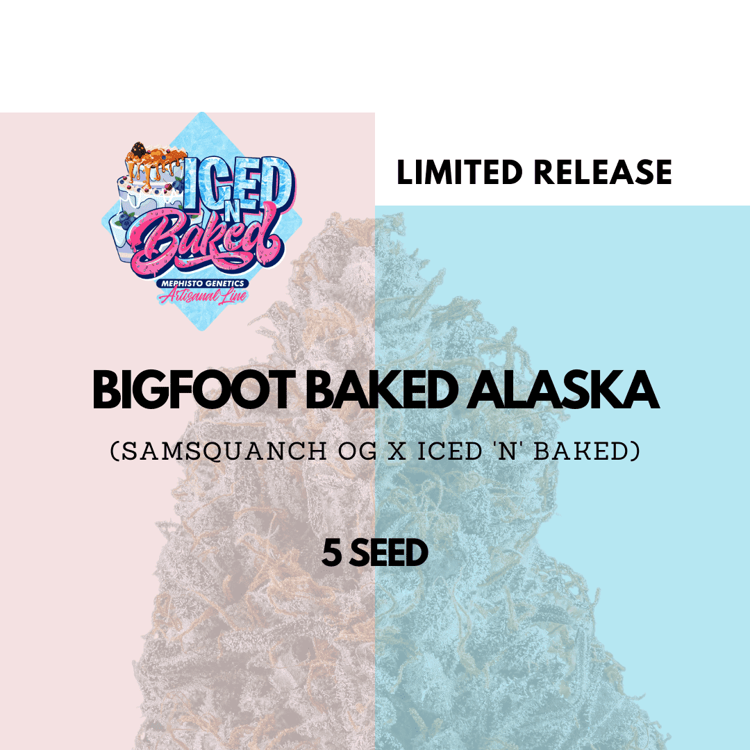 Bigfoot Baked Alaska