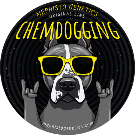 Chemdogging