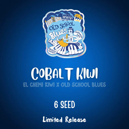 Cobalt Kiwi