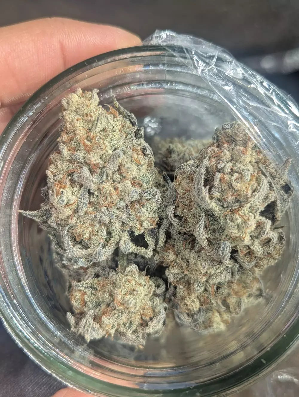 Customer Photo