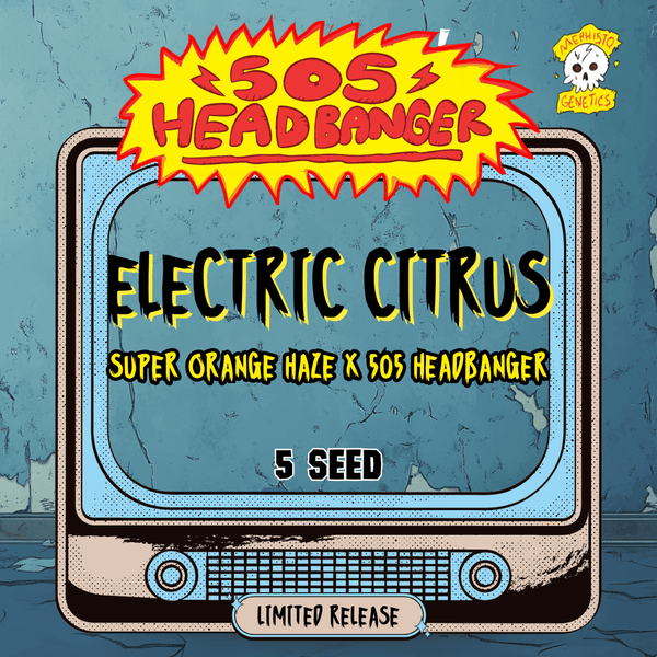Electric Citrus – Mephisto Genetics