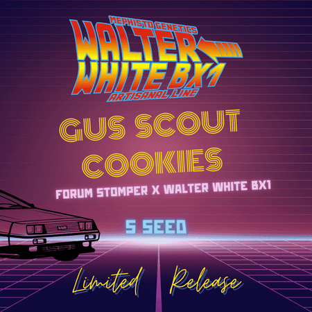 Gus Scout Cookies