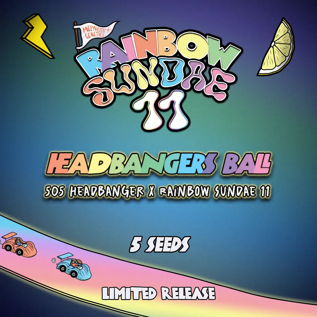 Headbangers Ball