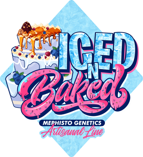 Iced 'n' Baked