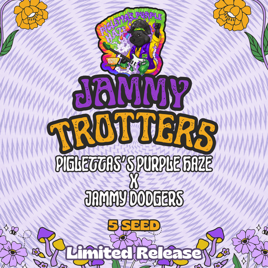 Jammy Trotters