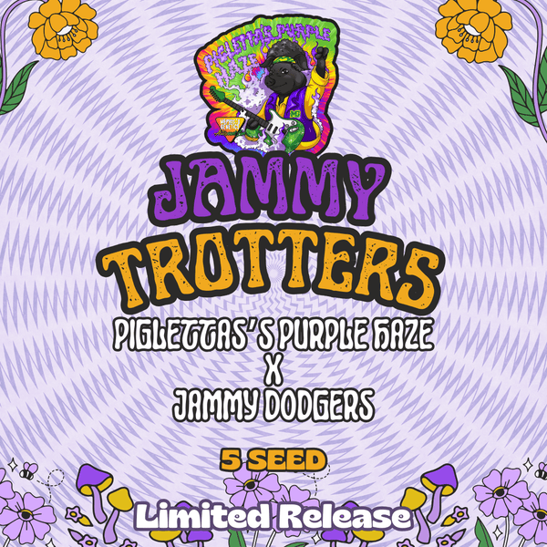 jammy-trotters_grande.png?v=