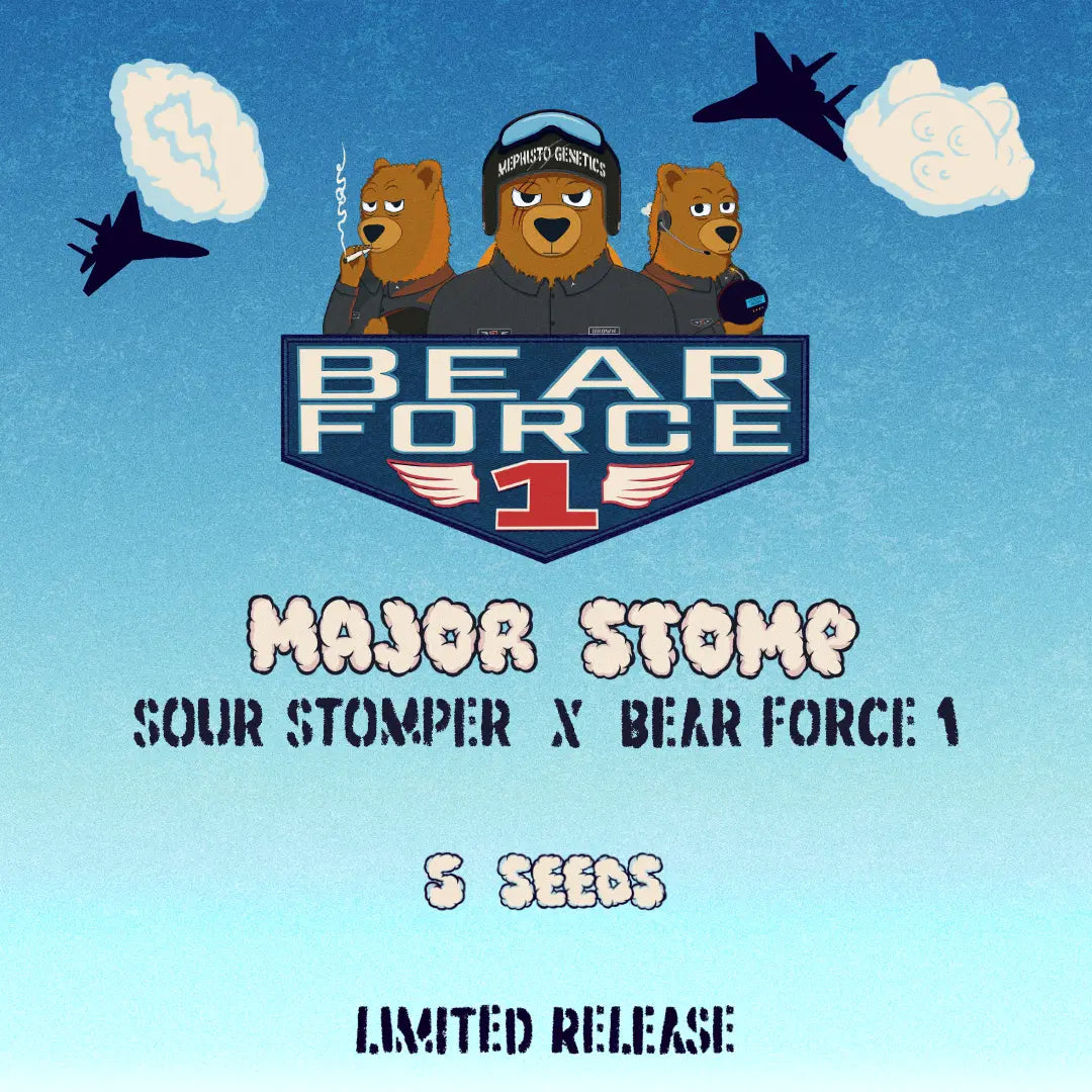 Major Stomp