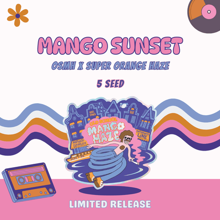 Mango Sunset