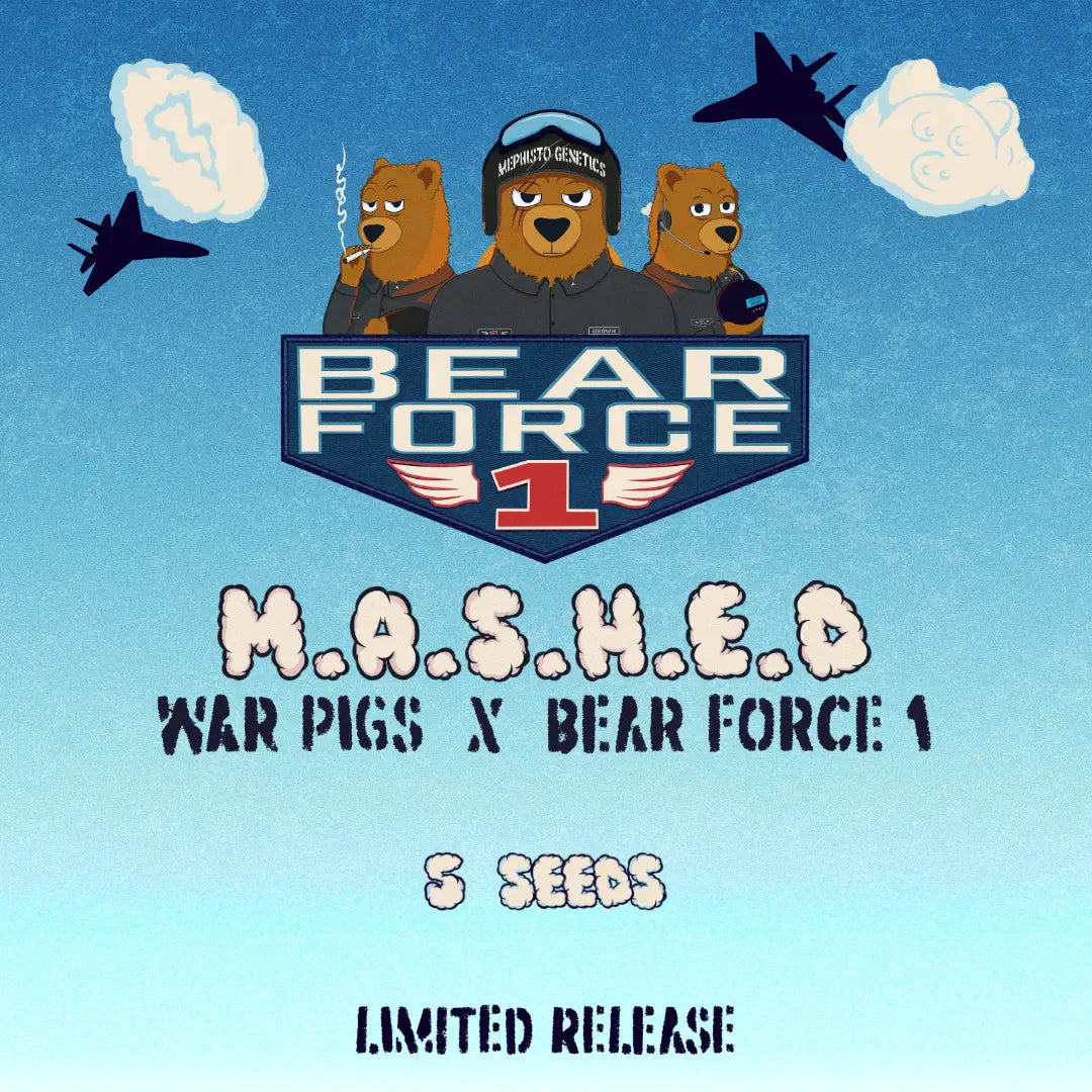 M*A*S*H*E*D