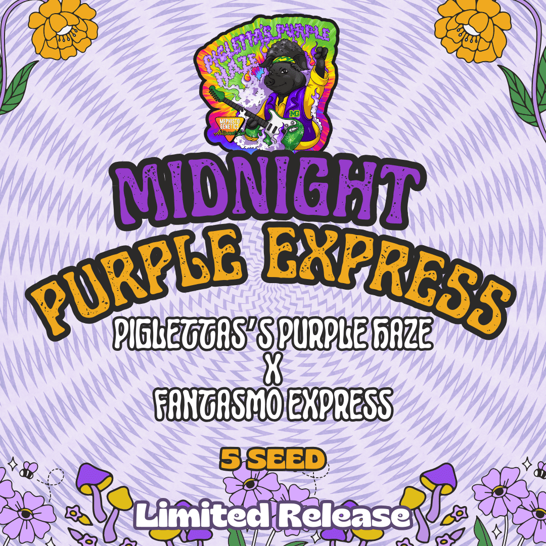 Midnight Purple Express