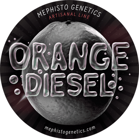 Orange Diesel