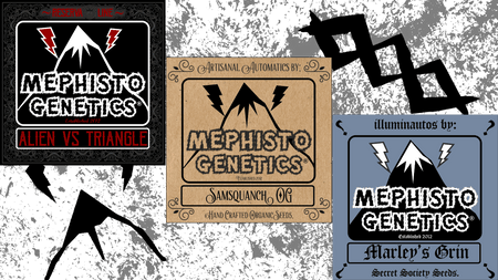 Mephisto Outdoor Bundle