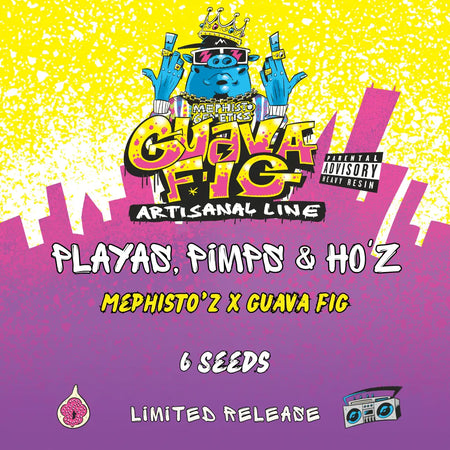 Playas, Pimps & HO'z