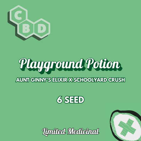 Playground Potion