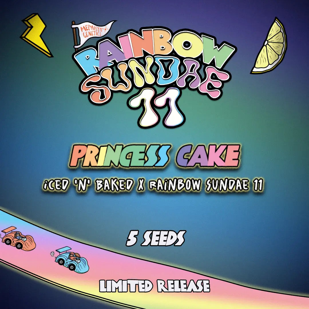 Princess Cake