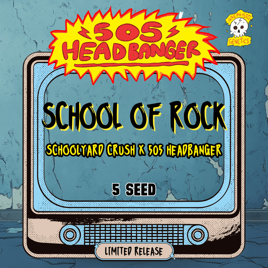 School Of Rock