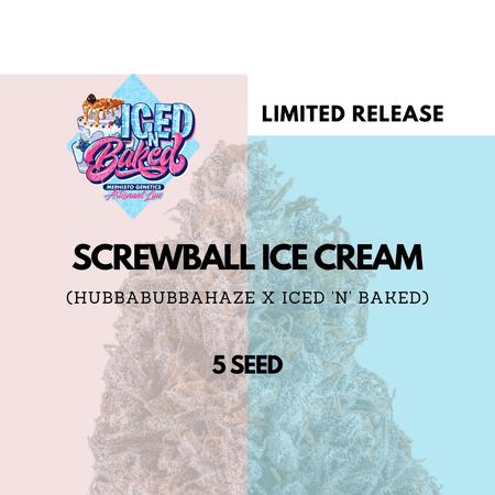 Screwball Ice Cream