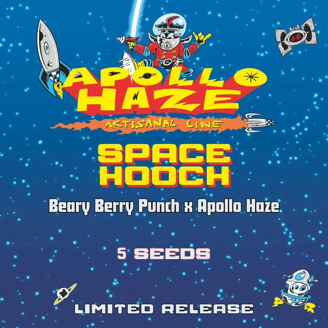 Space Hooch