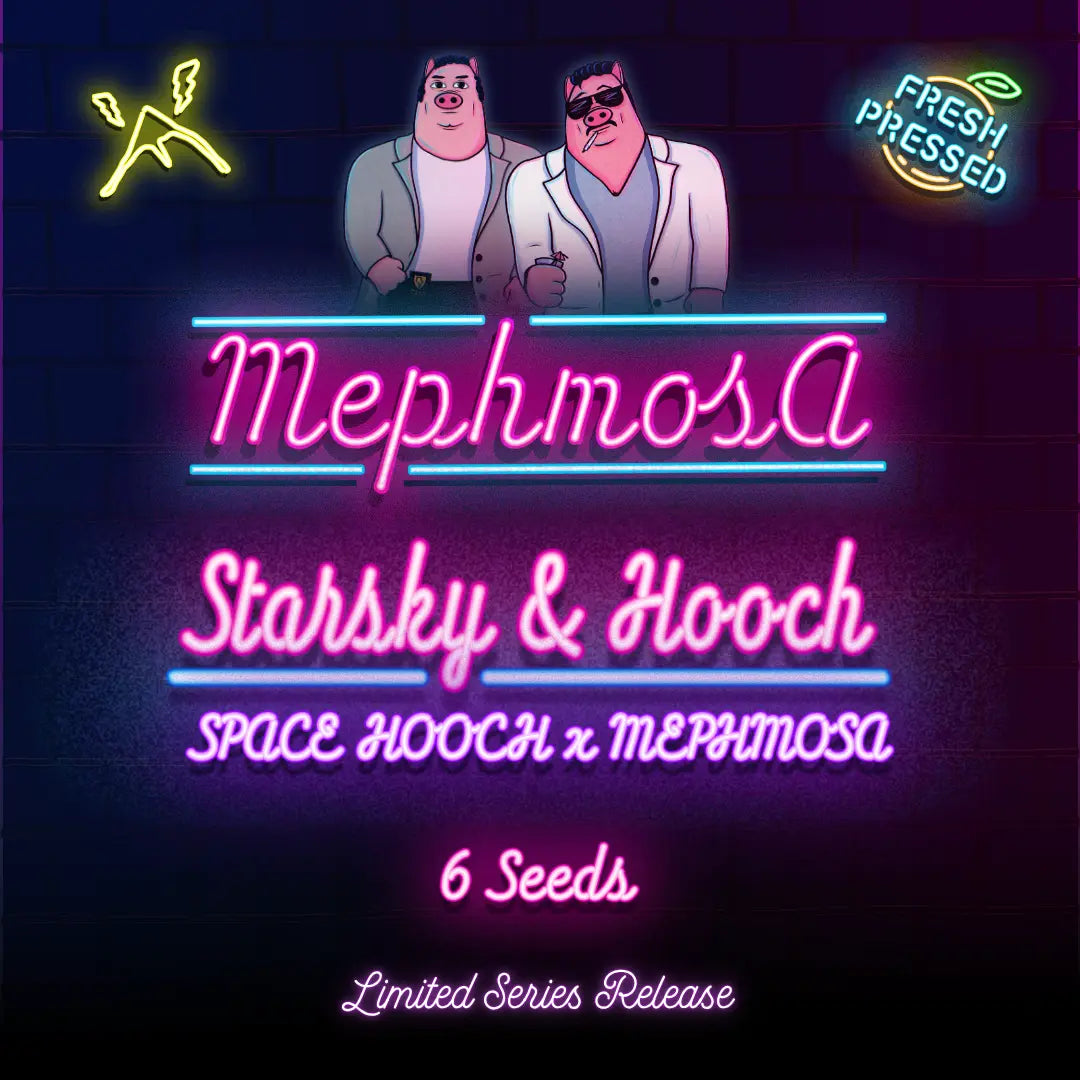 Starsky & Hooch