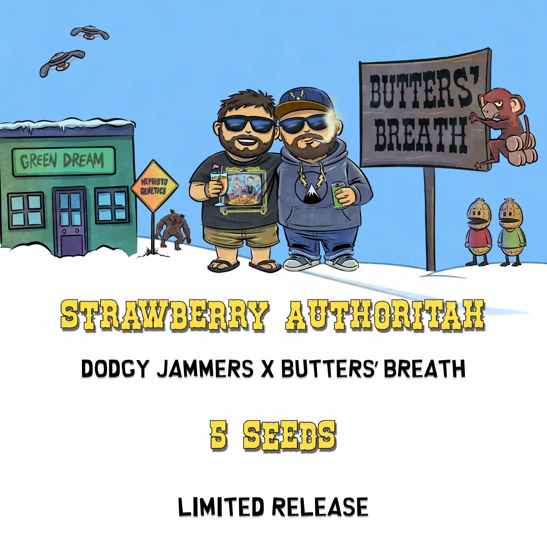 Strawberry Authoritah