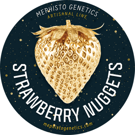 Strawberry Nuggets