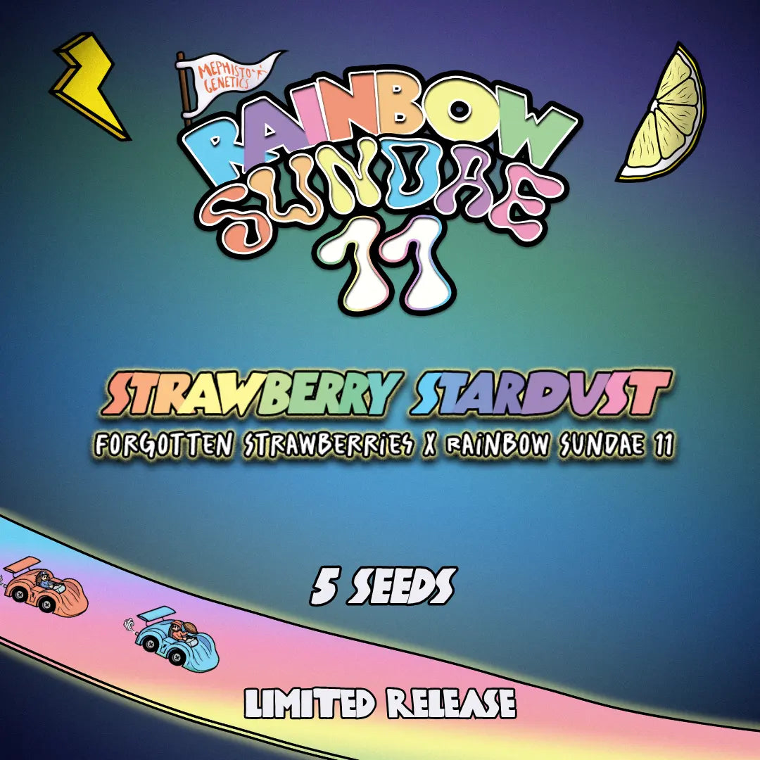 Strawberry Stardust