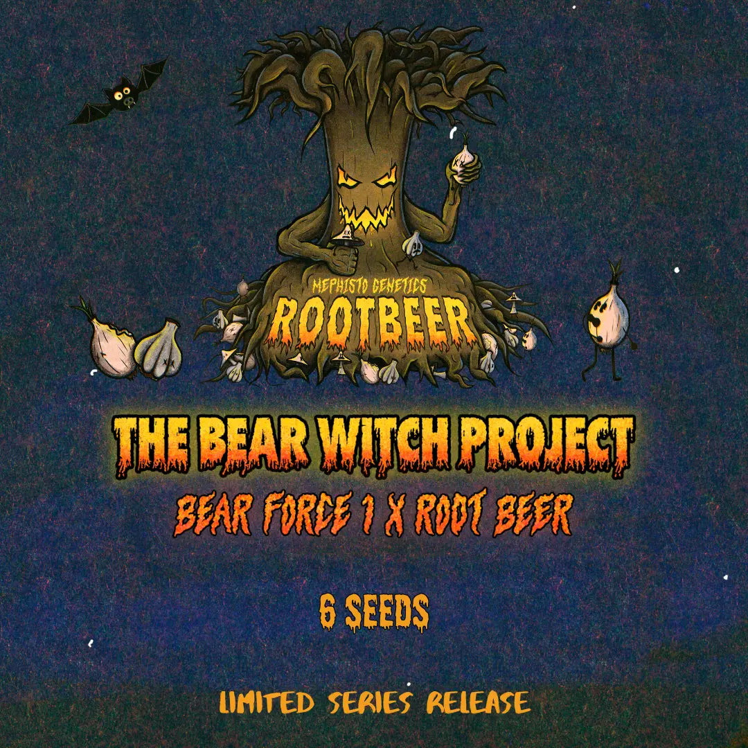 The Bear Witch Project