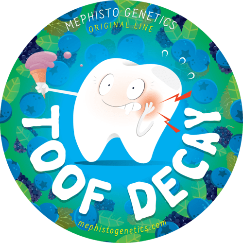 Toof Decay