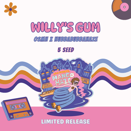 Willy's Gum