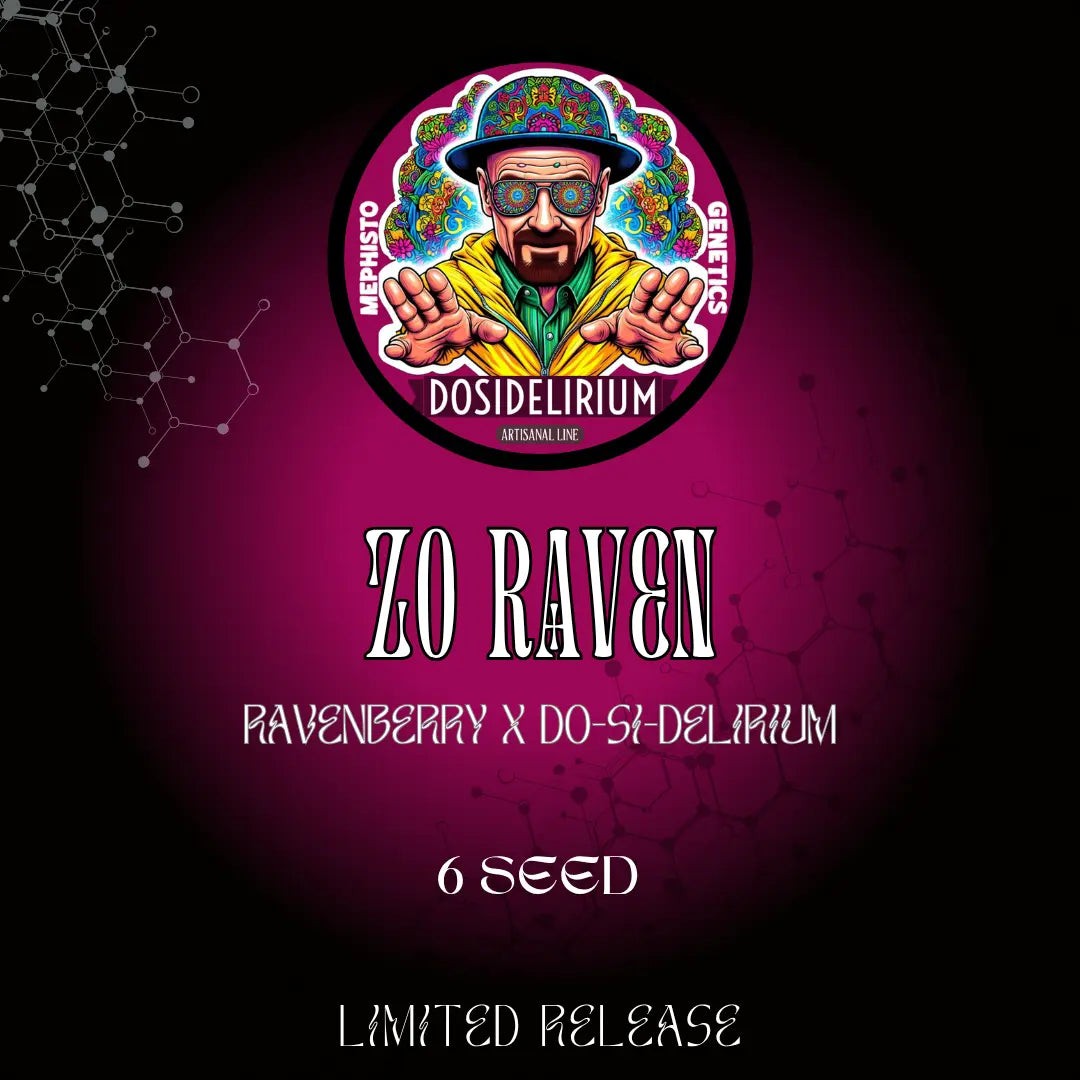 Zo Raven